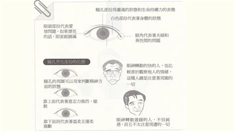 面相 眼睛|面相入门